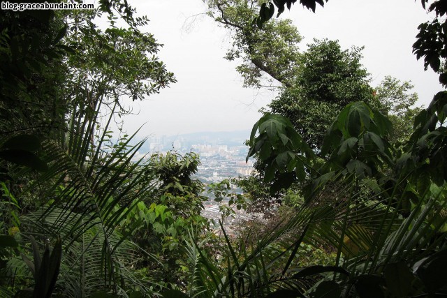 Route C - view out