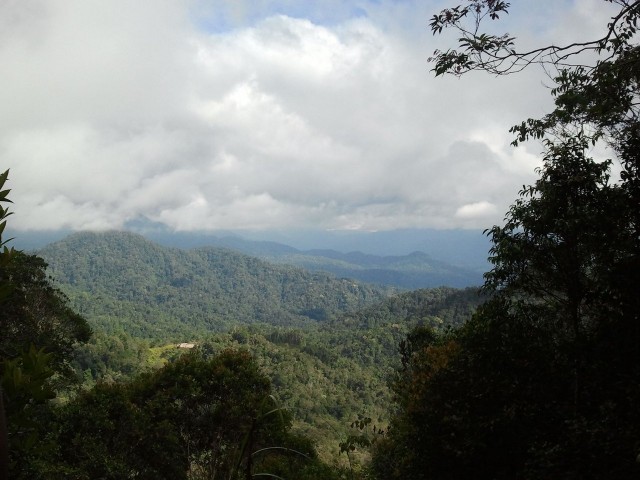 First open view