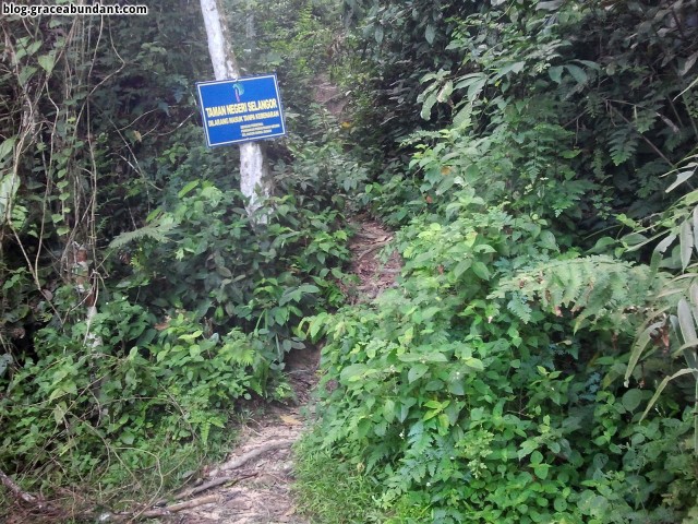 Trail head