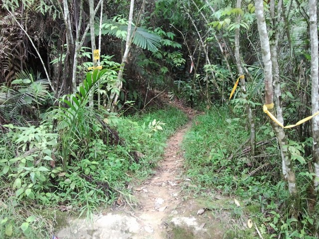 Trailhead to Bunga Buah