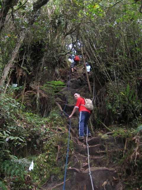 Rope Section
