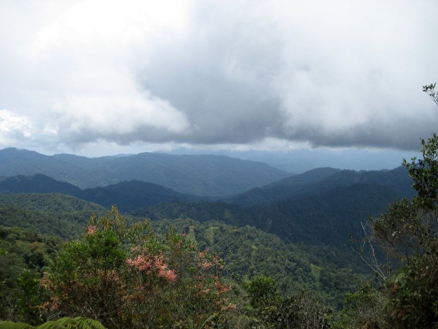 Summit View 1