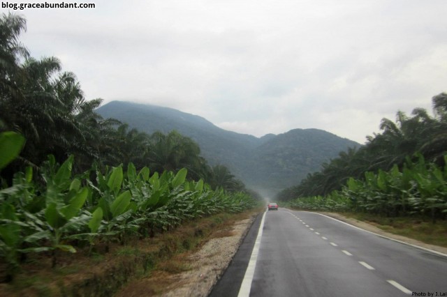 Gunung Ledang from the road