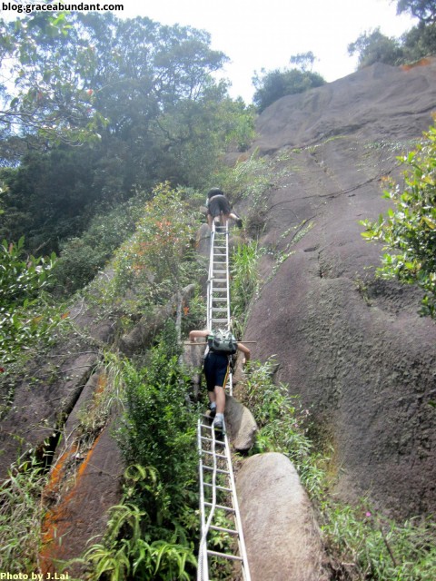 Climbing to the summit