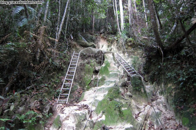 KFC ladders