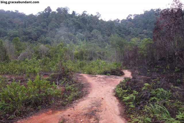 Another open area