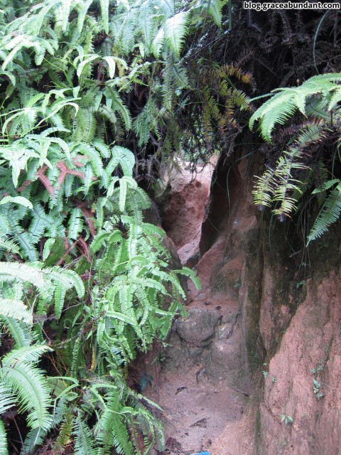 Small cave