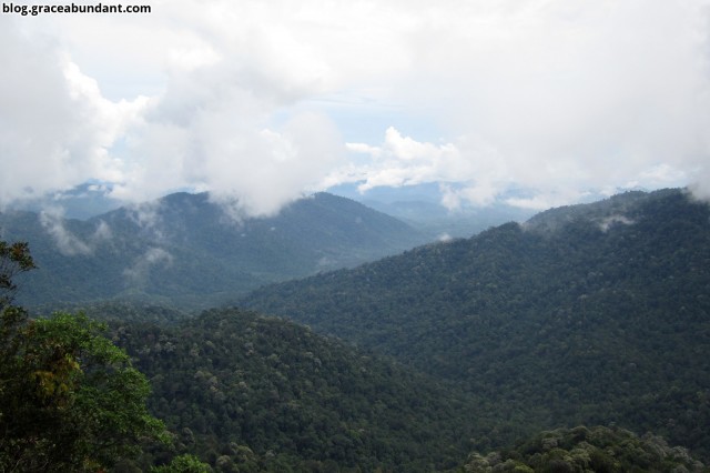 Summit view